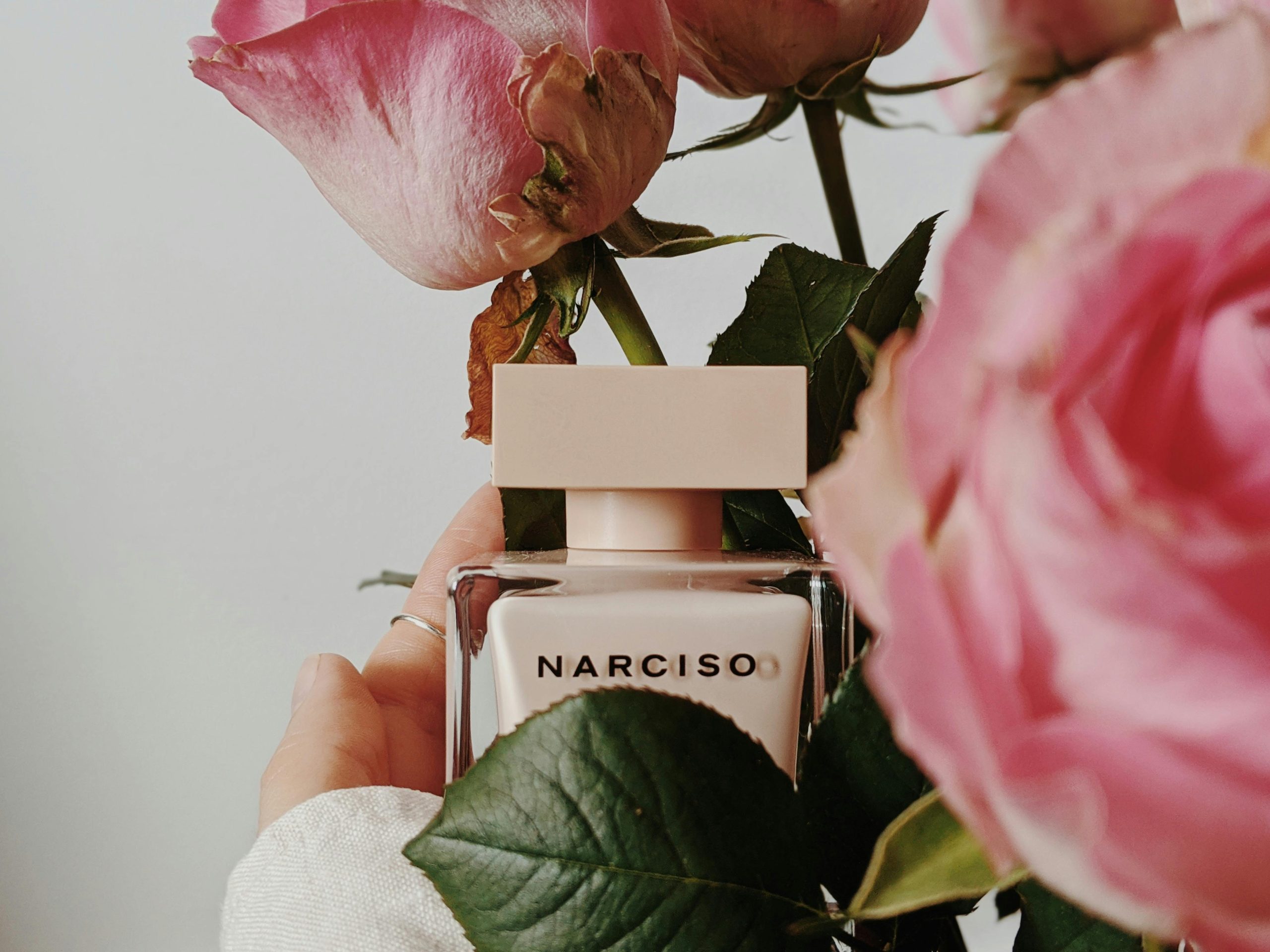 Découverte du parfum Yara Rose