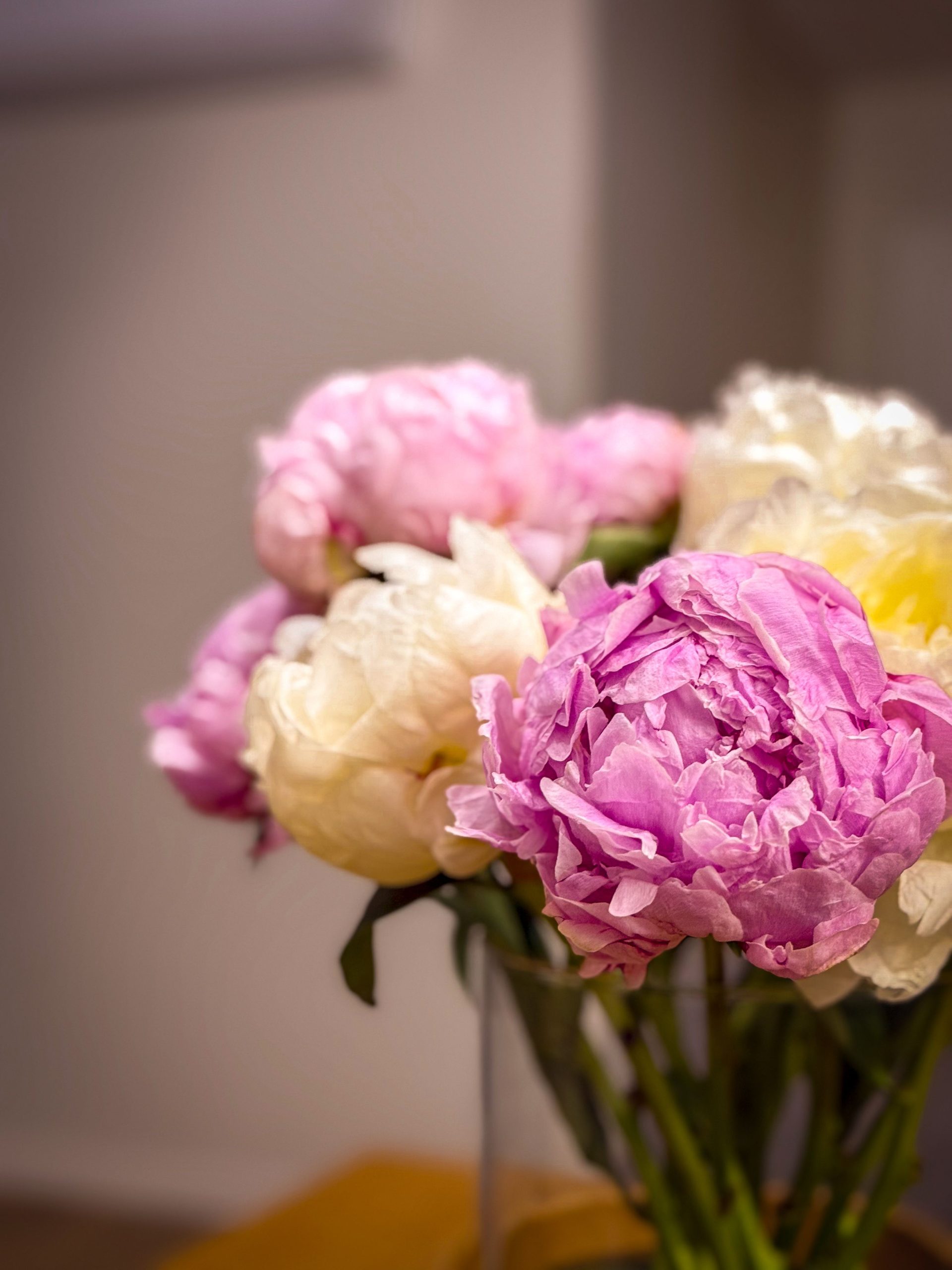 Flower by Kenzo tenue et durée